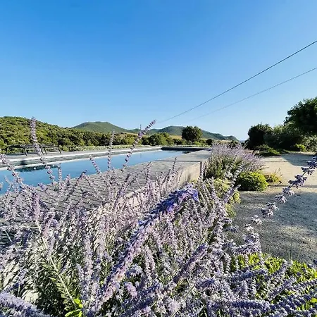 Paradis de 4 villas T2 à Capo Di Feno à seulement 800 mètres de la plage Villa